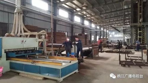 桃江經(jīng)開區(qū)2018年實(shí)現(xiàn)稅收1.5億元