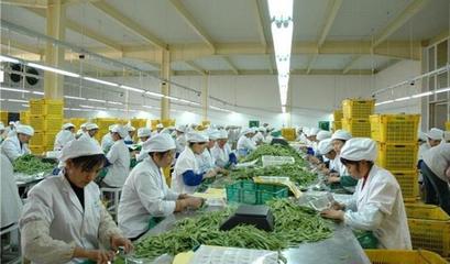 農村辦廠指南 適合人群與農產品加工盈利方向