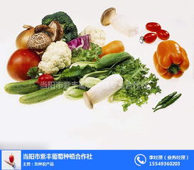 平頂山農(nóng)產(chǎn)品免費(fèi)配送 打造便捷生活新體驗(yàn)
